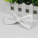 Stylish checkered bow tie with metal clasp
