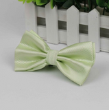 Stylish checkered bow tie with metal clasp