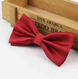 Stylish checkered bow tie with metal clasp
