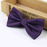 Stylish checkered bow tie with metal clasp