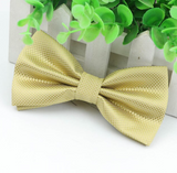 Stylish checkered bow tie with metal clasp