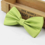 Stylish checkered bow tie with metal clasp