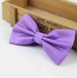 Stylish checkered bow tie with metal clasp