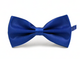Men's stylish bow tie with a comfortable clasp