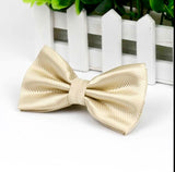 Stylish checkered bow tie with metal clasp