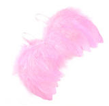 Solid Color Feather Angel Wings for Newborn Photo Shoots