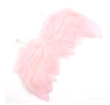 Solid Color Feather Angel Wings for Newborn Photo Shoots